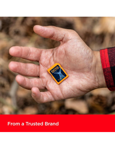 Tarjeta SD SanDisk 32GB 2-Pack UHS-I para Cámaras de Sendero