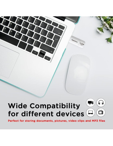 GIGASTONE 512GB Unidad Flash USB 3.2 Gen 1, 120MB/s