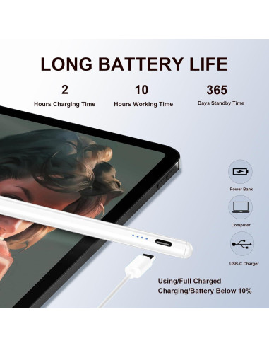 Bolígrafo Estilográfico Rgar Negro 2 Piezas para Tablets