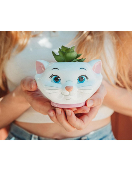 Maceta Cerámica Silver Buffalo Aristogatos Marie 11.4cm con Suculenta