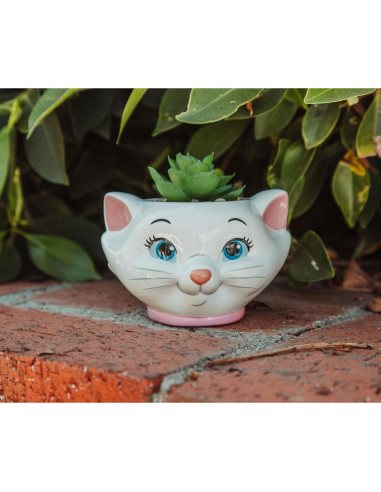 Maceta Cerámica Silver Buffalo Aristogatos Marie 11.4cm con Suculenta