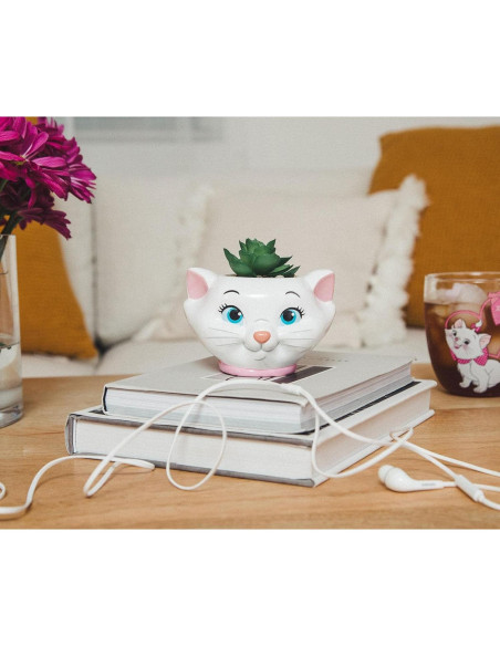 Maceta Cerámica Silver Buffalo Aristogatos Marie 11.4cm con Suculenta