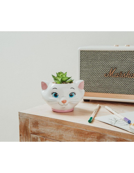 Maceta Cerámica Silver Buffalo Aristogatos Marie 11.4cm con Suculenta