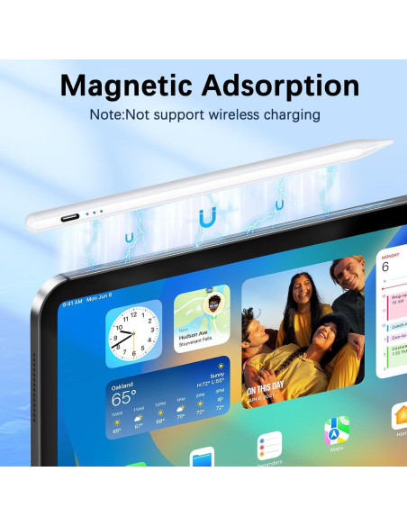 2 Pack Lápiz Stylus Activo EcoPestuGo para iPad 2018-2025