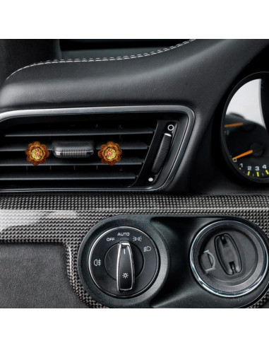 100 Clips de Ventilación para Automóvil Veemoon Metal Negro