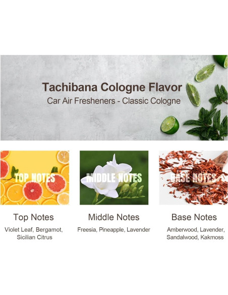 Ambientador de Coche COSLAKE para Tesla Model Y/3, Set 6 Varitas