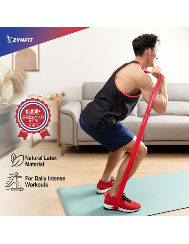 Juego de 5 Bandas de Resistencia ZYNFIT con Ancla de Puerta