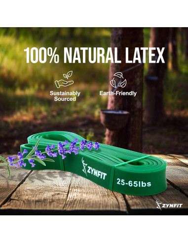 Juego de 5 Bandas de Resistencia ZYNFIT con Ancla de Puerta