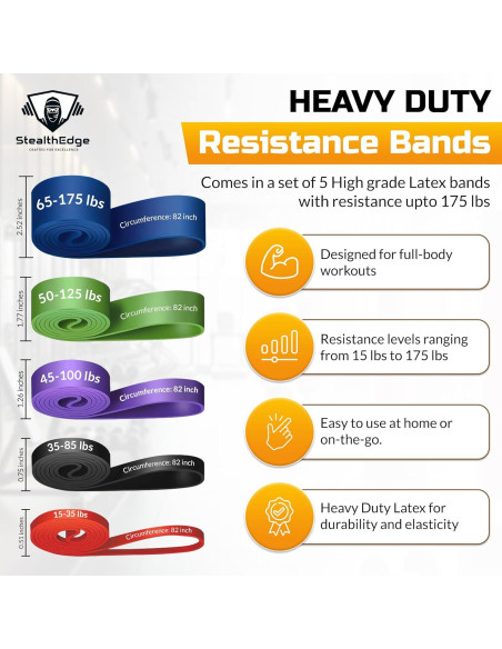 Conjunto de Fitness StealthEdge - 5 Bandas de Resistencia y Accesorios
