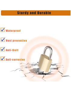 Paquete de 10 Cerraduras Pequeñas Fuaxat 20mm con Llaves Iguales 2