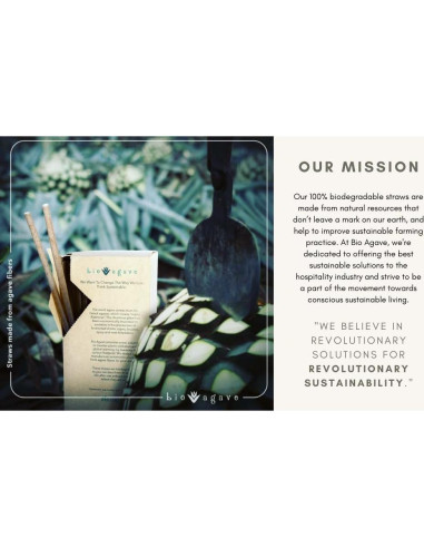 Pajitas Biodegradables BIO AGAVE 150 Pcs 15 cm Cortas