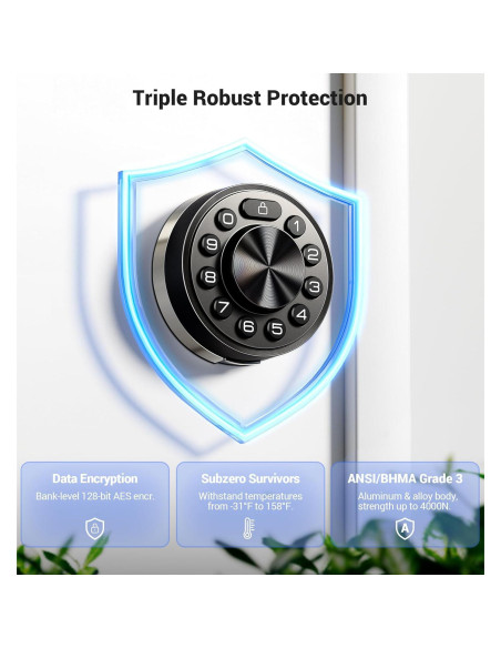 Cerradura Inteligente Veise Plata con App y Teclado Digital