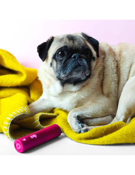 Rodillo Quitapelusas Mini Flint Rosa 90 Hojas Extra Pegajosas