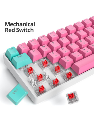 Teclado Mecánico Compacto FS SHOP 61 Teclas LED PBT Rojo