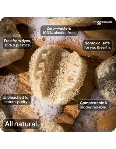 Esponjas de Loofah Natural LoofaGO - Paquete de 10 Unidades