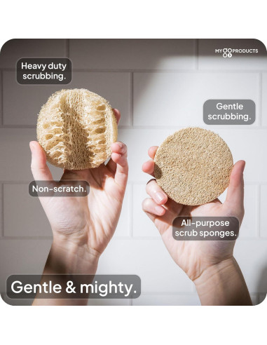 Esponjas de Loofah Natural LoofaGO - Paquete de 10 Unidades