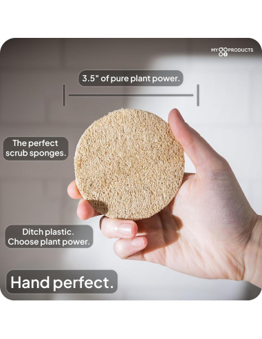 Esponjas de Loofah Natural LoofaGO - Paquete de 10 Unidades