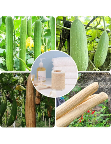 Esponja de Lufa Natural Acolidas para Espalda 101.6 cm