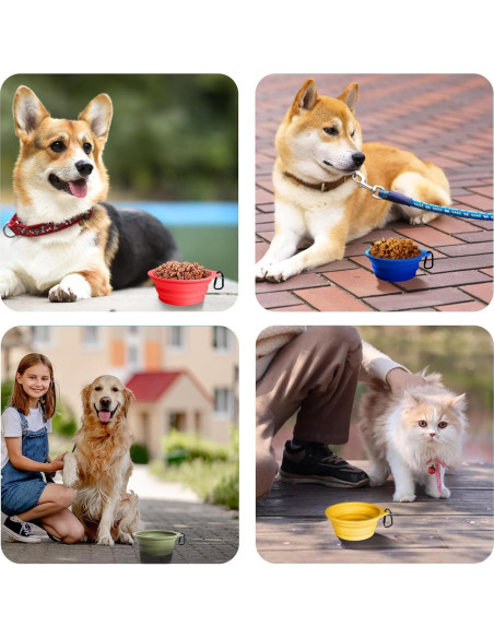 Cuencos de Silicona Colapsables PetBonus 2-Pack 591 ml