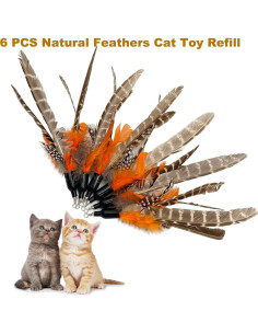 Recargas de Plumas para Gatos TIENAILING 6 Piezas 2