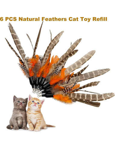 Recargas de Plumas para Gatos TIENAILING 6 Piezas