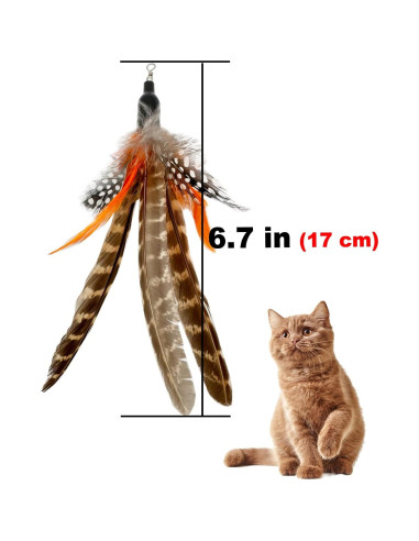 Recargas de Plumas para Gatos TIENAILING 6 Piezas