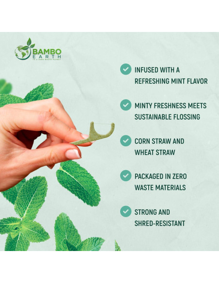 Palillos de Hilo Dental Ecológicos BAMBOEARTH 200 Unidades Menta