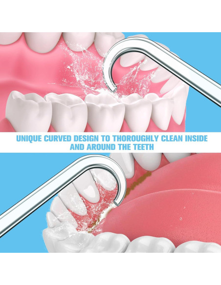 Consejos de Reemplazo Waterpik LEZHISNUG - 9 Piezas + Estuche