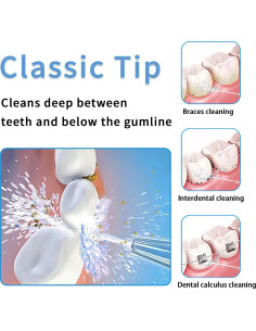 Cabezas de Repuesto Waterpik - 2 Puntas Clásicas para Irrigador Dental 2