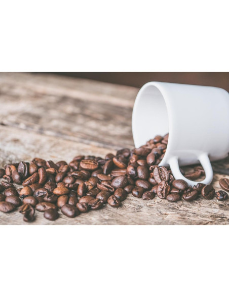 Cucharada de Acero Inoxidable BALCI 30ml - Cucharón de Medición