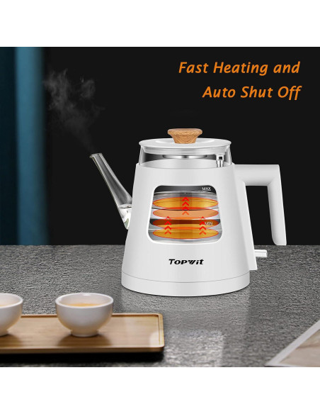 Hervidor Eléctrico TopWit 1.0L con Infusor Acero Inoxidable