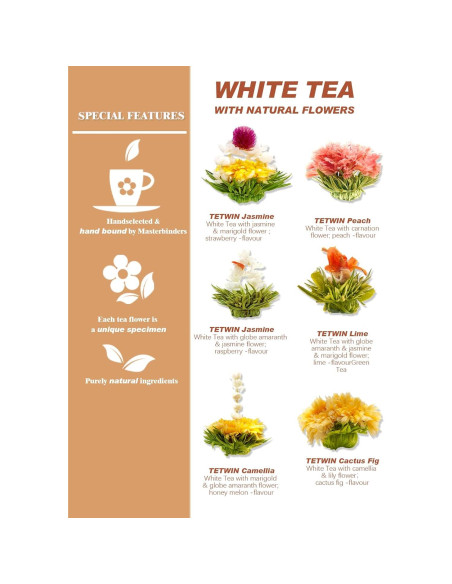 Tetera de Vidrio TETWIN 1000ml con Infusor y 6 Bolas de Té