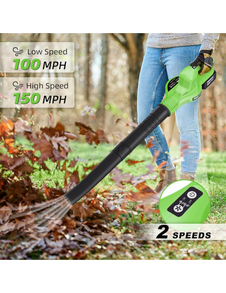 Soplador de Hojas NINOUKO 20V 4000mAh 2 Velocidades Verde