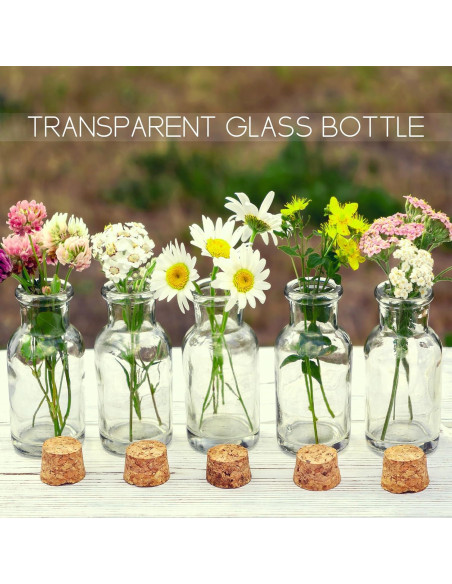 Yungyan 50 Mini Botellas de Vidrio con Corcho 1ml para DIY