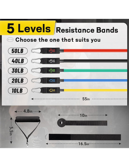 Bandas de Resistencia AllvodesBands 68 kg con Accesorios