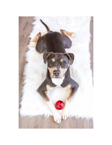 Blinky Babble Ball Pet Qwerks - Juguete Interactivo Mediano