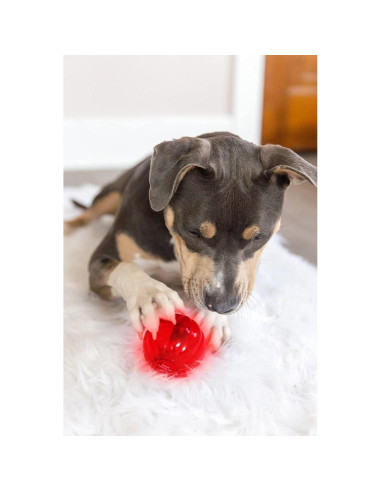 Blinky Babble Ball Pet Qwerks - Juguete Interactivo Mediano