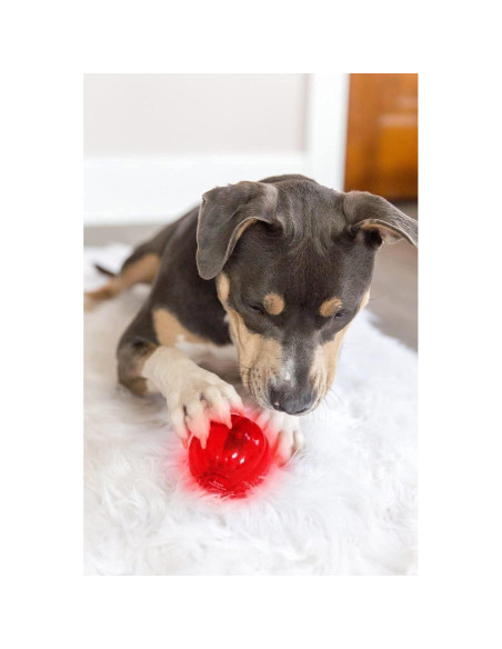 Blinky Babble Ball Pet Qwerks - Juguete Interactivo Mediano