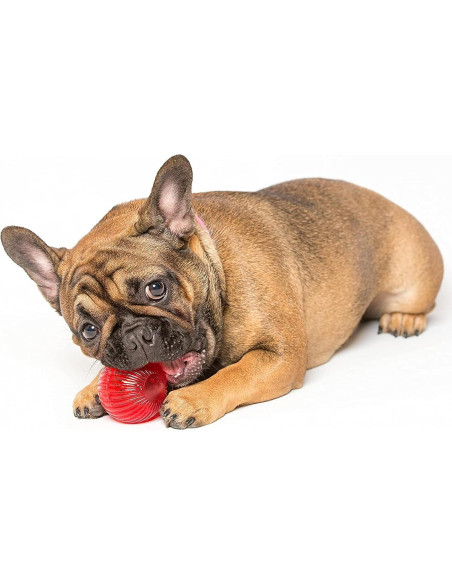 Blinky Babble Ball Pet Qwerks - Juguete Interactivo Mediano