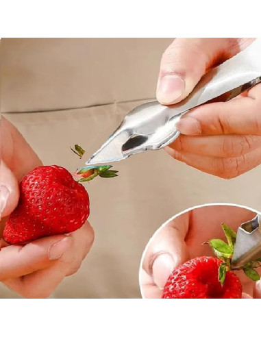 Clip Quitapelos Multifuncional Qintreesify de Acero Inoxidable