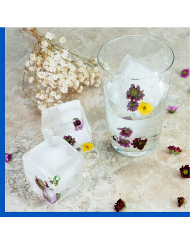 Bandeja de Hielo de Silicona Samuelworld 2-Pack 8 Cavidades