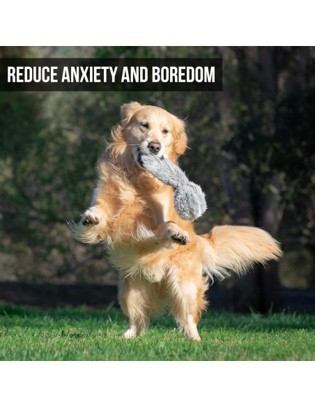 Juguete Interactivo para Perros Hyper Pet Doggie Tail Juguete Interactivo para Perros Hyper Pet Doggie Tail