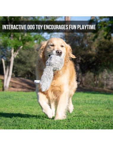 Juguete Interactivo para Perros Hyper Pet Doggie Tail