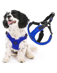Arnés Deportivo Gooby Escape Free - Azul - Pequeño 15kg