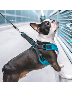 Arnés Deportivo Gooby Escape Free - Azul - Pequeño 15kg 2