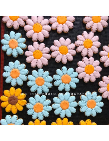 Cortadores de Galletas Q-BAKER Acero Inoxidable Floral 5 Piezas