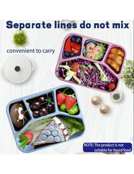 Paquete de 8 Cajas Bento Aellabus, Contenedores Reutilizables 1000ml