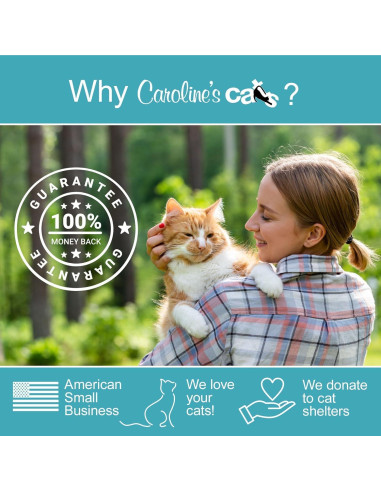 Juguete Interactivo para Gatos Caroline - Mariposa 2 en 1