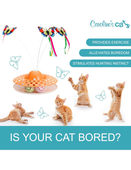Juguete Interactivo para Gatos Caroline - Mariposa 2 en 1