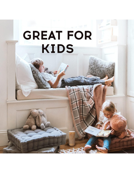 Bolsas de Carbón Activado Apraii - Purificadoras de Aire 425g